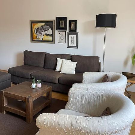Spacious 3Br/2Bt Apartment With A/C In City Center ザグレブ エクステリア 写真