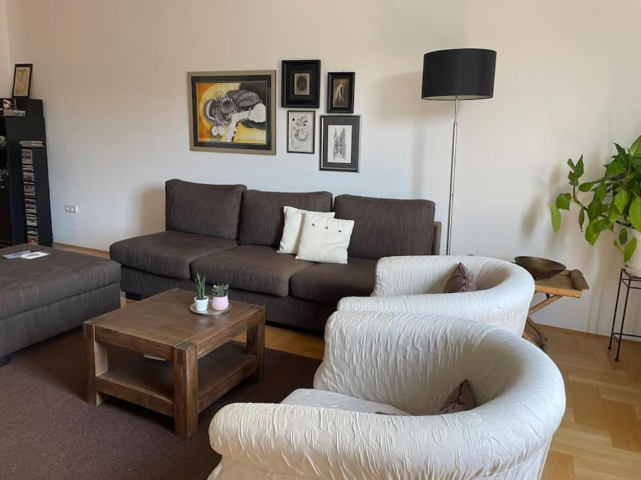 Spacious 3Br/2Bt Apartment With A/C In City Center ザグレブ エクステリア 写真