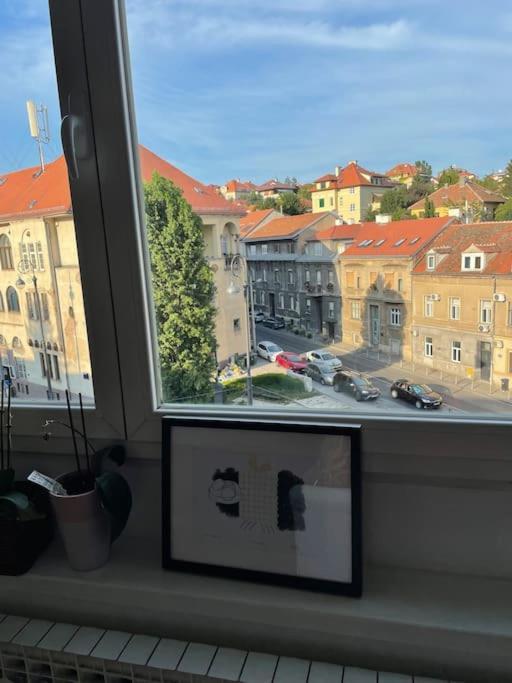 Spacious 3Br/2Bt Apartment With A/C In City Center ザグレブ エクステリア 写真