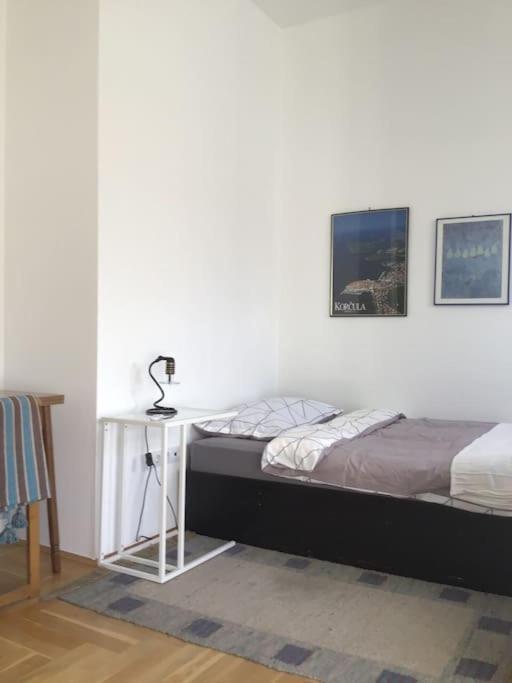 Spacious 3Br/2Bt Apartment With A/C In City Center ザグレブ エクステリア 写真