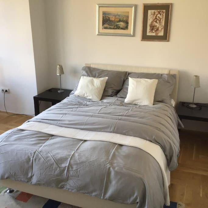 Spacious 3Br/2Bt Apartment With A/C In City Center ザグレブ エクステリア 写真