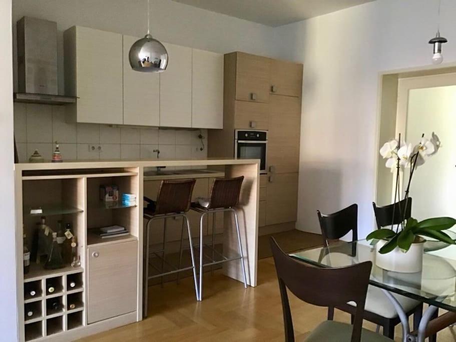 Spacious 3Br/2Bt Apartment With A/C In City Center ザグレブ エクステリア 写真