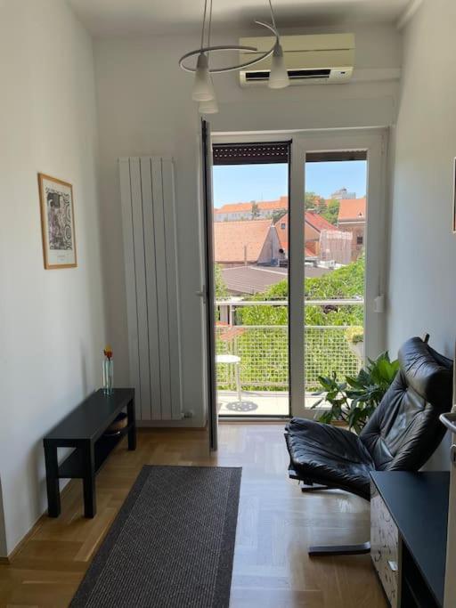 Spacious 3Br/2Bt Apartment With A/C In City Center ザグレブ エクステリア 写真