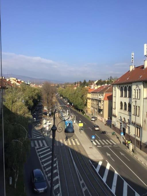 Spacious 3Br/2Bt Apartment With A/C In City Center ザグレブ エクステリア 写真
