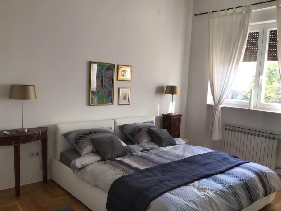 Spacious 3Br/2Bt Apartment With A/C In City Center ザグレブ エクステリア 写真