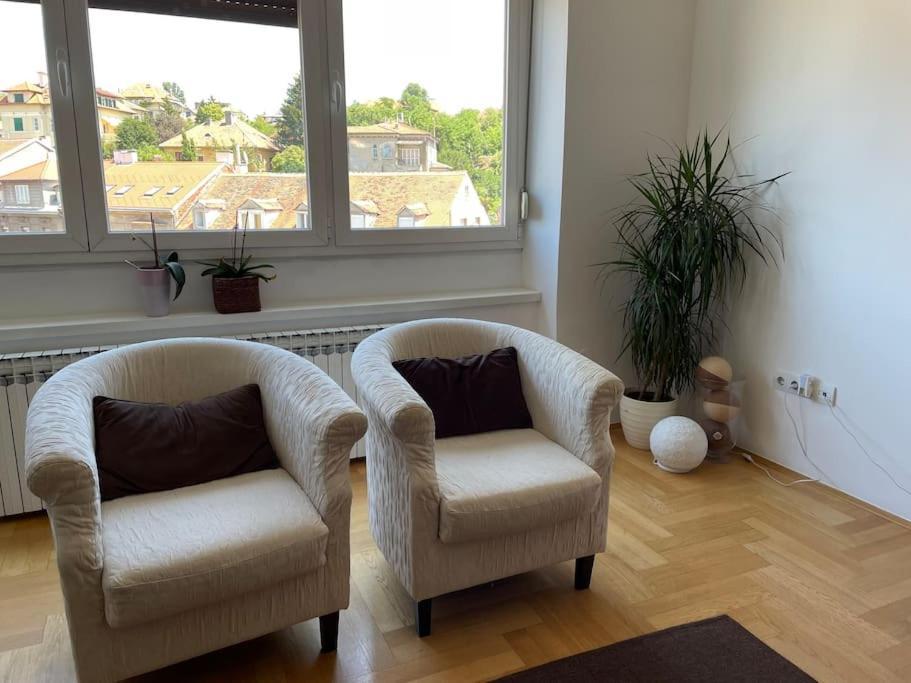 Spacious 3Br/2Bt Apartment With A/C In City Center ザグレブ エクステリア 写真