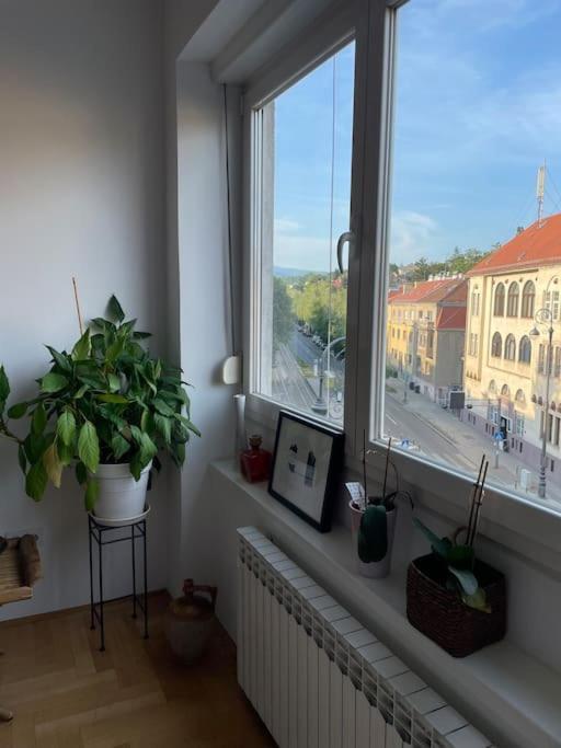 Spacious 3Br/2Bt Apartment With A/C In City Center ザグレブ エクステリア 写真